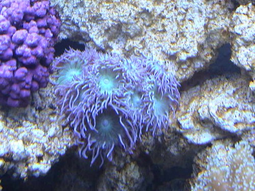 DSC00039.JPG