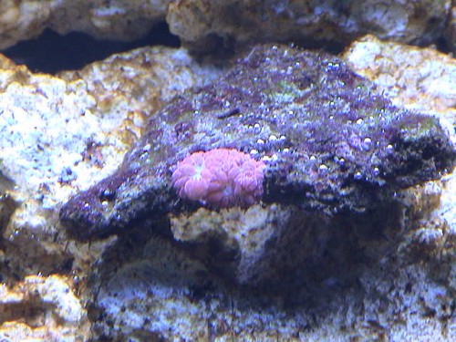DSC00046.JPG
