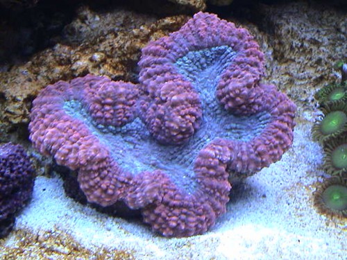 DSC00054.JPG