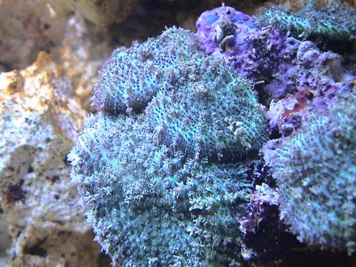DSC00060.JPG