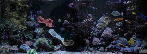 600 liter 140909.JPG