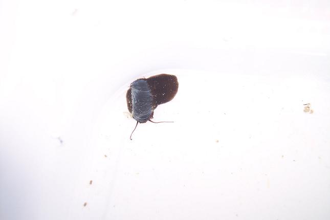 100_3546.JPG