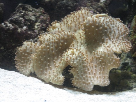 IMG_0678 nr 4.jpg