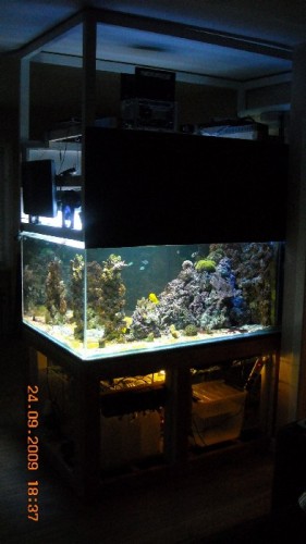 saltvand900 049.jpg