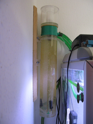 Skummeren, sponceret af mikolos, tak skal du ha min ven ;o)