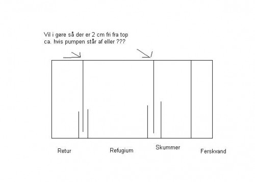 Sumptegning