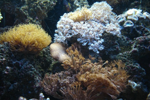 SMALLDSC00951.JPG