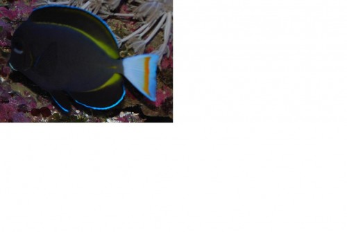 Unavngivet111.jpg