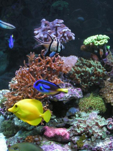 PICT0883.JPG