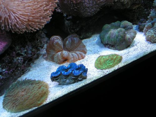 PICT0890.JPG