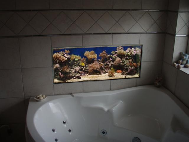 P5250747 (Small).JPG