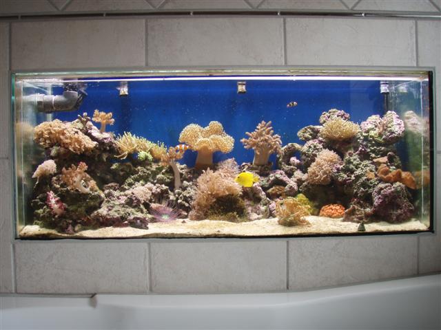 P5250746 (Small).JPG