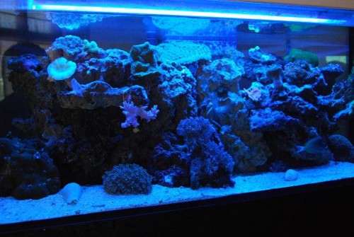 DSC_0077.JPG
