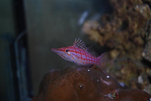 DSC_0091.JPG