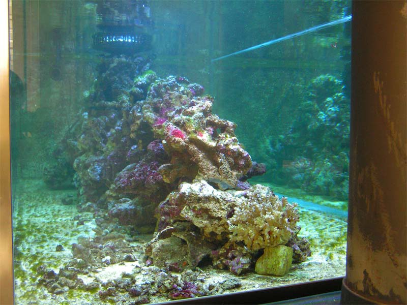 PICT0058.jpg