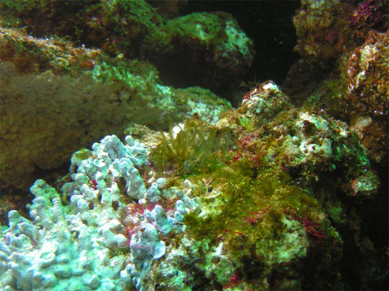 PICT0050.jpg