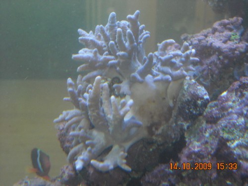 saltvand900 091.jpg