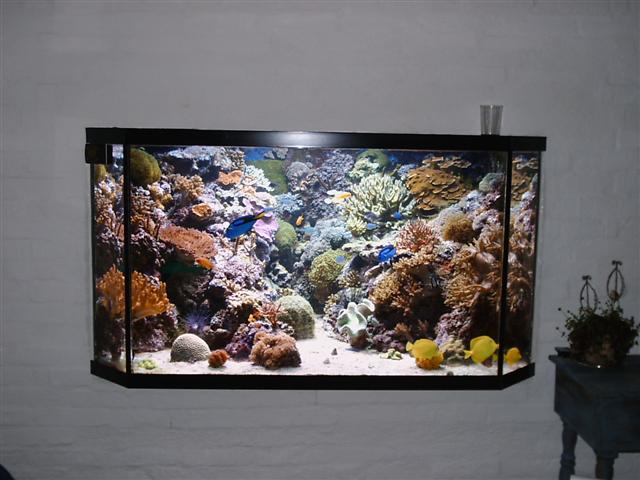 IMAG0001 (Small).JPG