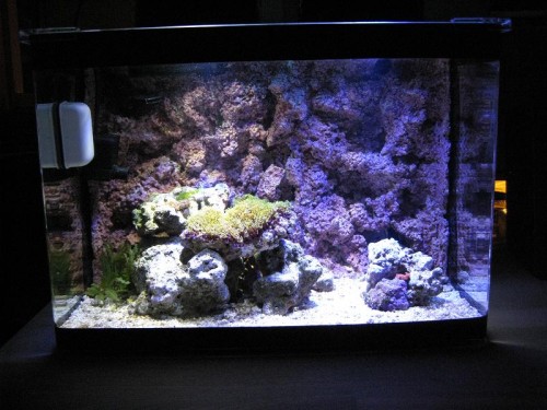 IMG_1857.JPG (96.14 KiB) Vist 1798 gange 18. oktober 2009