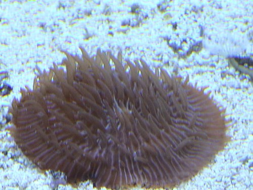 DSC00053.JPG