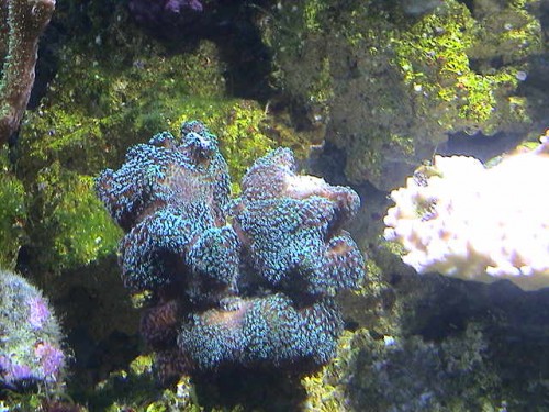 DSC00050.JPG