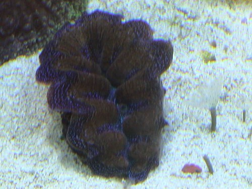 DSC00045.JPG