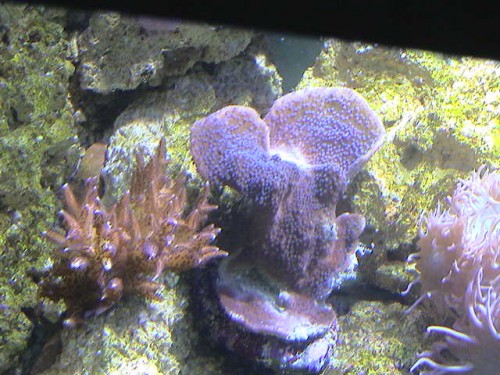 DSC00041.JPG
