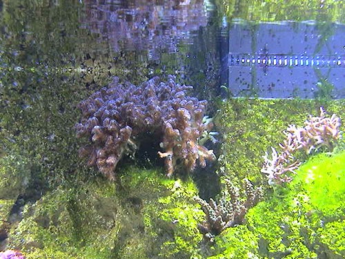 DSC00034.JPG