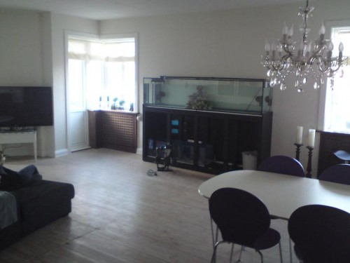 DSC00703.JPG (56.49 KiB) Vist 3556 gange Og lige for at vise hvor akvariet står :)