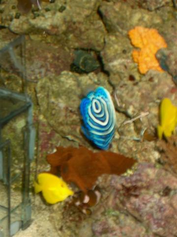 IM000091 (Small).JPG