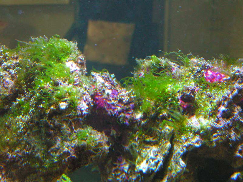 PICT0070.jpg