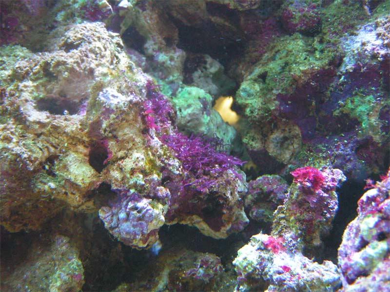 PICT0065.jpg