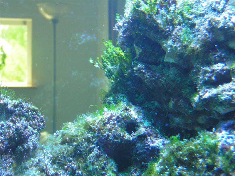 PICT0063.jpg