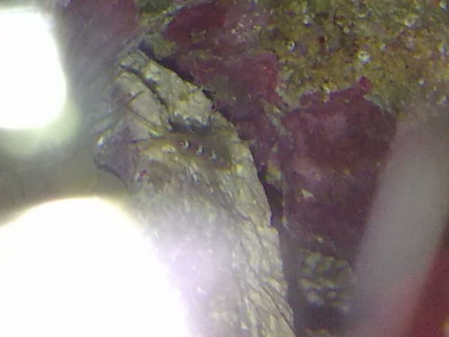 23102009638.jpg