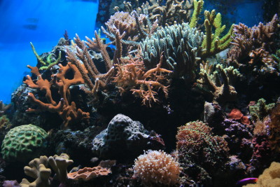 IMG_4844_2.JPG