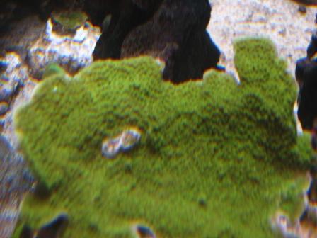 IMG_7305.JPG