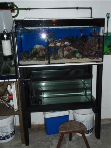 akv 017 (Small).jpg
