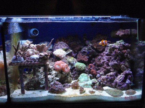 akv 023 (Small).jpg
