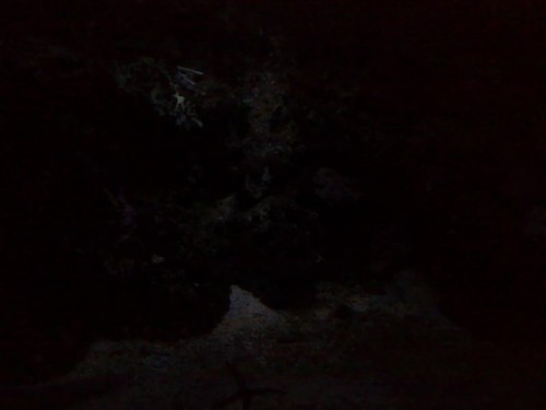 061120092516.jpg