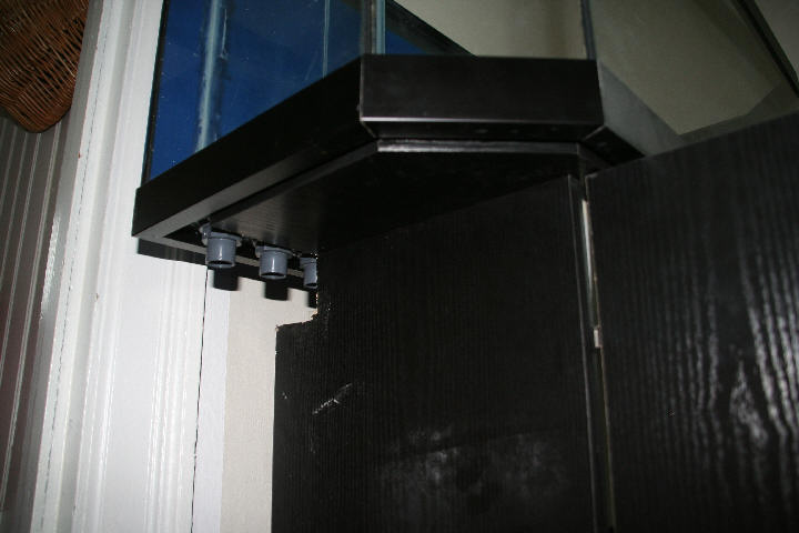 IMG_4890.JPG