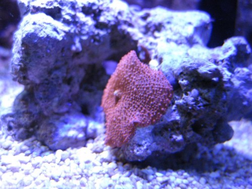 IMG_1875.JPG
