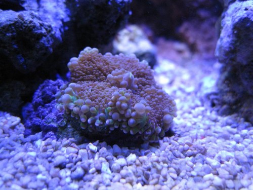 IMG_1876.JPG