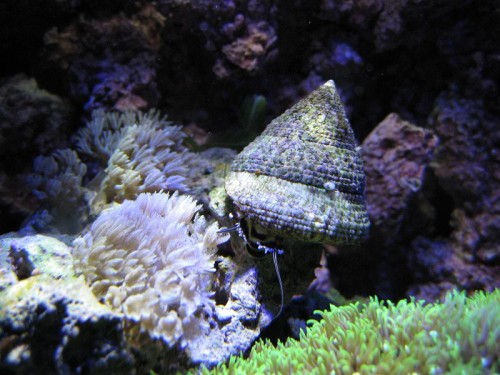 IMG_1877.JPG