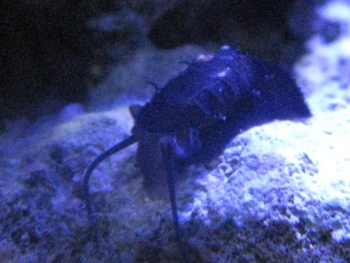 IMG_1879.JPG