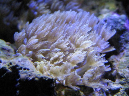 IMG_1903.JPG