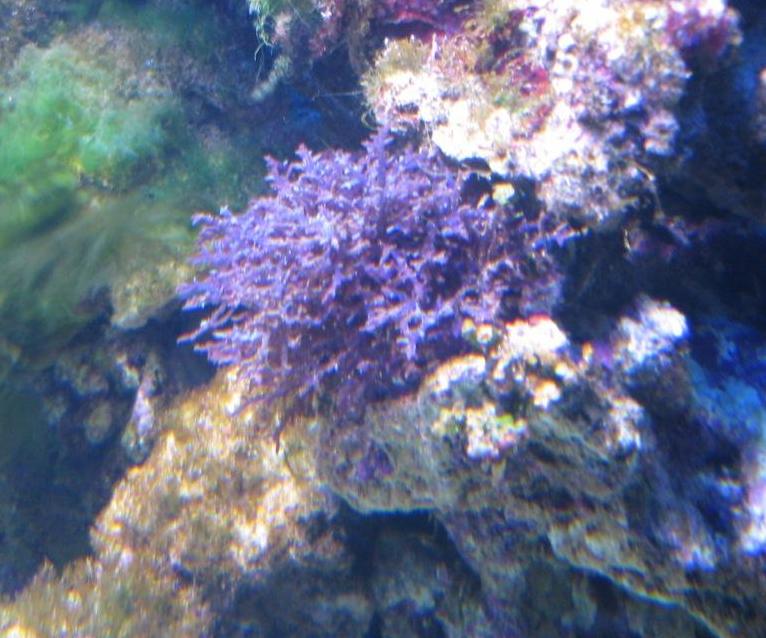 res_IMG_2559.JPG