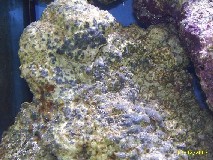 PIC_0054.JPG