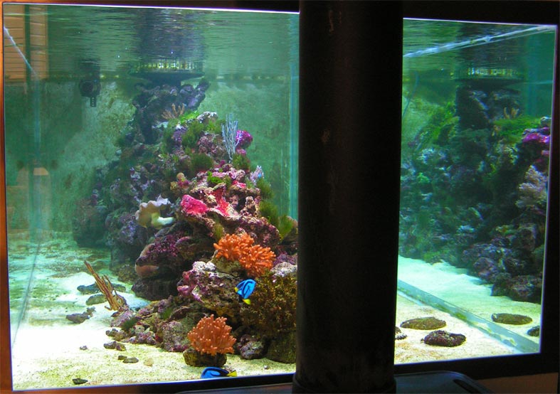 PICT0184.jpg