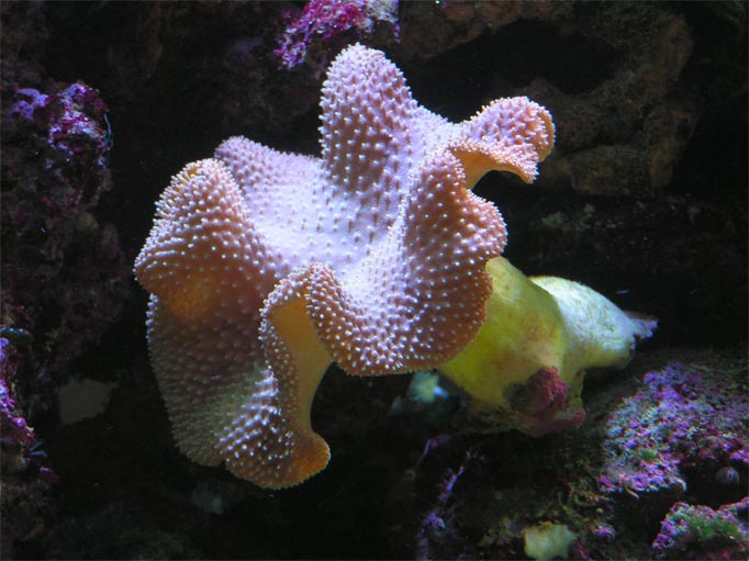 PICT0191.jpg