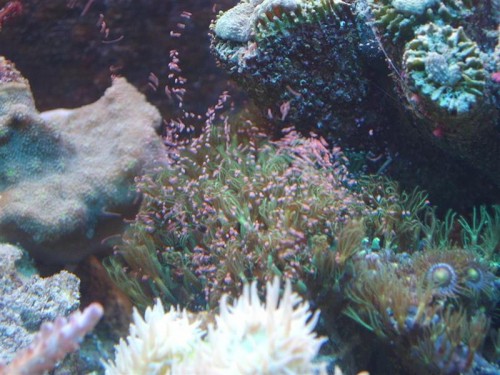 STA63789.JPG